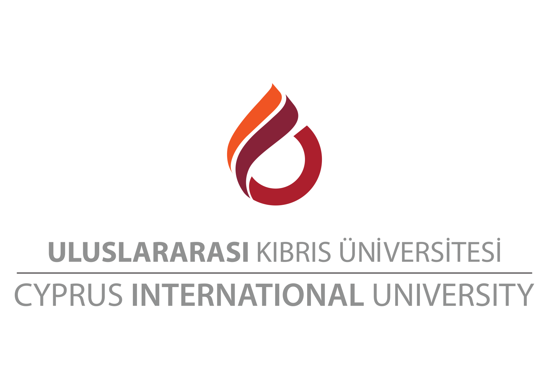 Cyprus International University